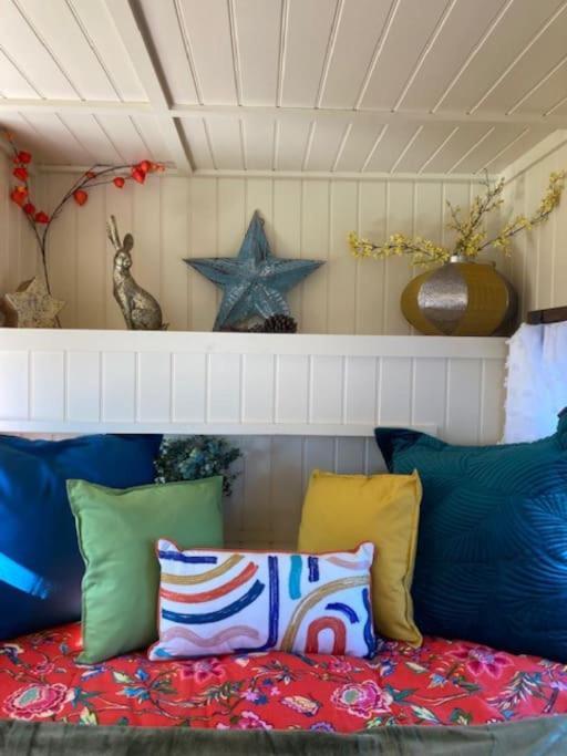 Neddys Rest Luxury Horsebox